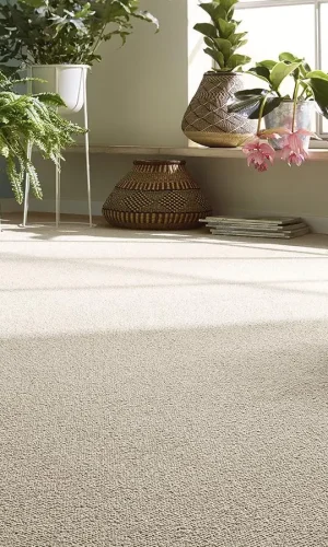 Tapis plains et moquettes Vorwerk